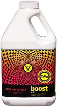 Boost - 1 Quart