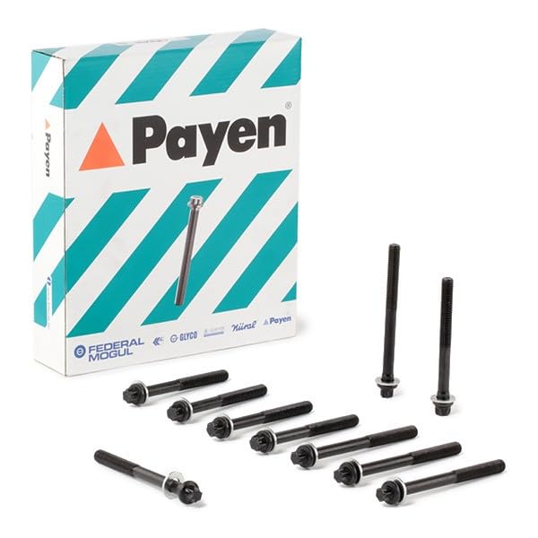 Set Viti A Testa Cilindrica Reinz M10 Torx - Compatibile Renault, Dacia E Modelli Specifici - Foto 8