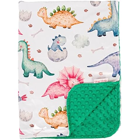 Top Tots Deluxe Minky Baby Blanket - Baby Dinosaurs, 40 x 29 Inch Green Cover