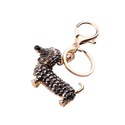 Piccolo adorabile simpatico strass bassotto cane