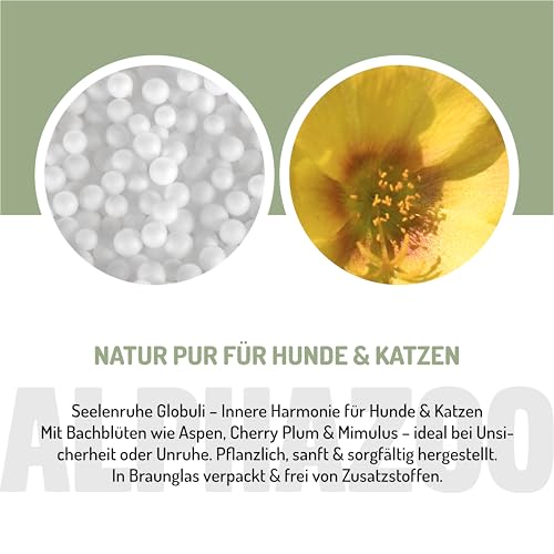 alphazoo Seelenruhe Anti-Stress Bachblüten für Hunde & Katzen 15g I Globuli Beruhigungstabletten gegen Hektik & Stress I Natürliches Beruhigungsmittel