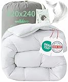Welldora Komfort Bettdecke 220x240 Winter | 100% Extraweiche Federn & Daunen | Fachärztlich...