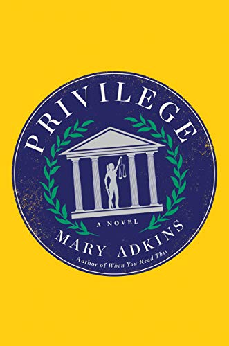 Privilege: A Novel view 2
