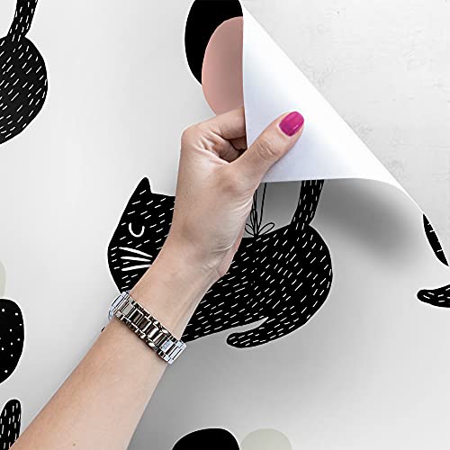 Papier peint lavable chats 290x290cm pour masquer les murs