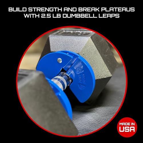 Image of Micro Gainz 1.25LB Dumbbell Fractional Weight Plates, 4-Piece