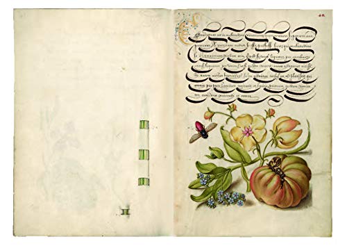 Mira Calligraphiae Monumenta: A Sixteenth-Century Calligraphic Manuscript Inscribed by Georg Bocskay