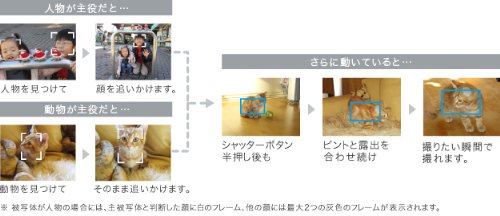 Canon IXY 210F(SL) の商品画像 5