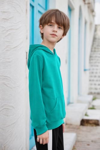 Image of Arshiner Unisex Kids Soft Pullover Hooded Sweatshirt with Pocket Basic Hoodies Sportswear Age 4-13 Years