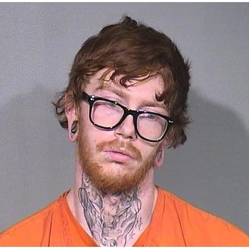 McHenry man accused of starving, neglecting dogs in his care