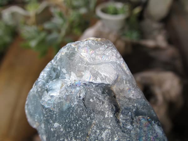 Amazon.co.jp: ブルーフローライト アフガニスタン産 原石 販売