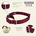 Country Brook Petz - Martingale Dog Collar - Heavy-Duty Training Collar with No Buckle - Service Dog Collar for All Pups - 20 Vibrant Colors (Burgundy, 3/8 Inch, 2XS)