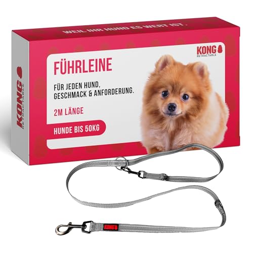 KONG robuste Hundeleine aus Nylon I grau I dreifach verstellbare Leine Hund I hochwertige Hundeführleine mit reflektierenden Elementen I Führleine Hund I Länge: 2 m I Breite: 19 mm