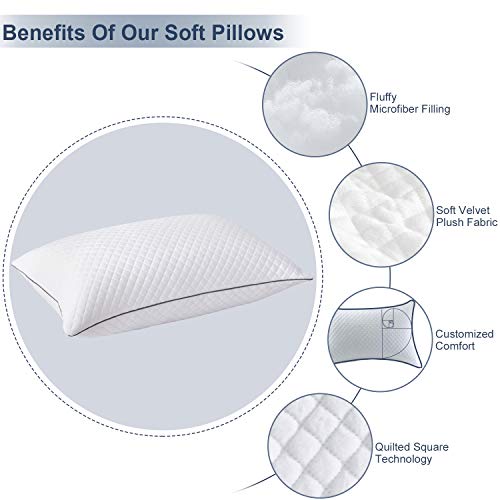 2 Pack Pillows Queen Size for Bed Sleeping - Hotel Pillow for Side Back and Stomach Sleeper Hypoallergenic Velvet Fabric, Fluffy Down Alternative Pillow with Super Soft Microfiber Filling for Neck Pain Allergy Sufferers, 20"x30" Machine Washable