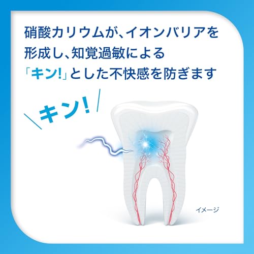 シュミテクト やさしくホワイトニングEX【医薬部外品】 の商品画像 4
