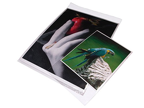 Print File Crystal Clear Art Protectors 12-7/16x16-1/4" Package of 100, Resealable Adhesive Strip (BOPP1216)