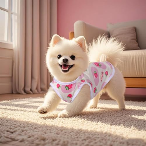 Image of 1Pcs Dog Shirt, Cat Shirt, Dog Dress Female, Pet Sterilization Suit for Small to Medium Dogs and Cats Soft Polyester Fabric Comfortable and Post-Surgery Protection