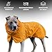 Spark Paws Hunderegenmantel, wasserdichte Winddichte Regenjacke, für kleine, mittlere, große und extra große Hunde, reflektierend, atmungsaktiv, mit vollständigem Körperschutz - Mustard Yellow - L