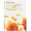 Mighty Leaf Organic African Nectar Tea, Rooibos Herbal Blend with Fruity Notes, 1.32 oz (Pack of 1)