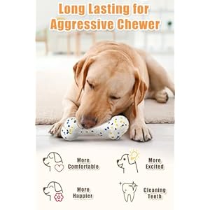 2Pcs grade Bone Dog Balls for Aggressive Chewers, Indestructible Tennis Balls for Dogs (Bone+Rugby)