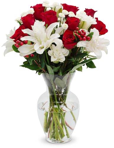 Stargazer Barn – Red Royale Rose Bouquet with Vase – Mother’s Day Flowers for Mom – Fresh Flower Delivery, Farm Fresh, Hand-Tied in USA, Ready to Gift