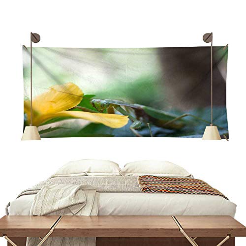 Meat & Doria 89259R Corpo Farfallato Iniezione