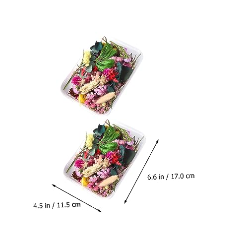 Flores secas artesanales para manualidades DIY miniatura 4