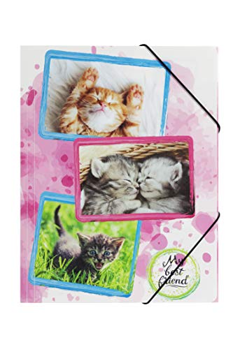 Pagna 21661-15 Gummizugmappe A4 Katzen (Dokumentenmappe, PP, Eckspanngummi)