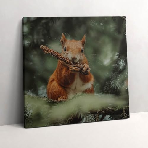Grand Tableaux 60x60cm Décoration Murale Peinte Nature Écureuil Wallfluent