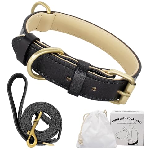 Dote on Hundehalsband und Leine, verstellbar, echtes weiches Leder, gepolstert, für kleine, mittelgroße und große Hunde, Größe L (43–54 cm), Schwarz)