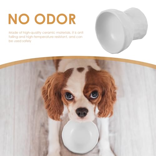 Bebedero para gatos y perros de interior: cuenco cerámico elevado HOMSFOU para el comedor del hogar 4