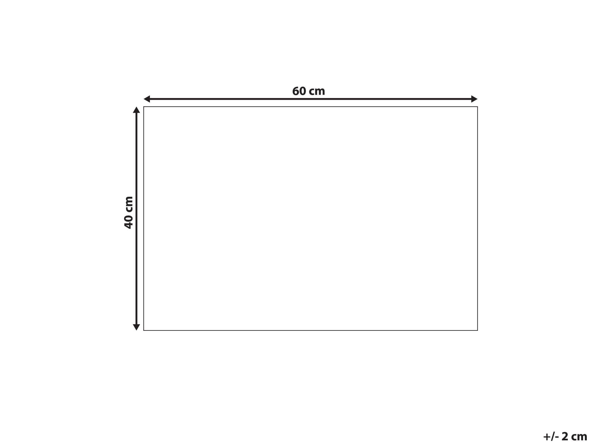 Beliani Paillasson en Fibre de Coco 40 x 60 cm Antidérapant Dessous en PVC Vert Tatalik