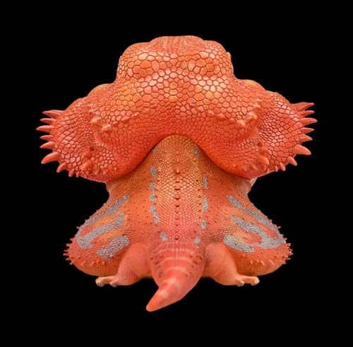Estatua de lagarto artesanal realista Animal Serie 16 miniatura 6