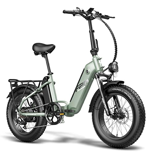 Fafrees FF20 Polar Fatbike E Bike Klapprad 20 Zoll mit 48V 10,4Ah*2 Akkus, E-Bike Damen Herren,...