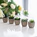 Set of 5 Succulents Fake Plants Bedroom Aesthetic Small Fake Plants Bathroom - Mini Fake Plants Decor for Office Desk Decor - Tiny Realistic Fake Succulent Plants Artificial Potted Set Cute Decoration