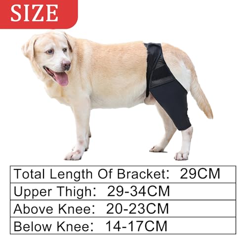 DKDDSSS Kniebandage Hund Hinterbein - Bandage für Hund mit Kreuzbandriss, Recovery Sleeve Hund - Unterstützung und Schutz für Hinterbein