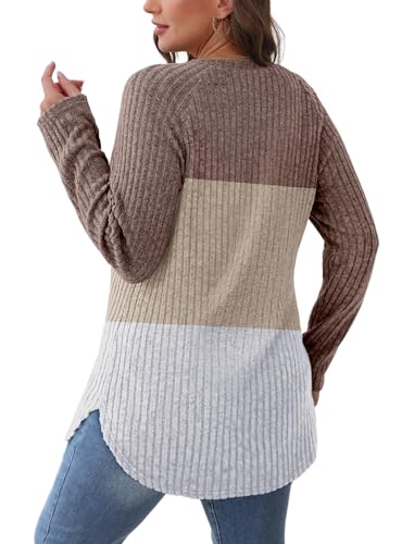 Image of Saloogoe Long Sleeve Shirts for Women 2025 Fall Clothes Tunic Tops Loose Fit Dressy Crewneck Pullover Sweaters Curved Hem