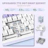 A.JAZZ AK820 75% TKL Wired Mechanical Keyboard,Hot-Swappable Linear Switch,Gasket Mount Gaming keyboard,RGB Backlight,82 Keys with CNC Volume Knob,Poron Foam,OEM PBT Keycaps for PC/WIN/MAC-Purple - Image 5