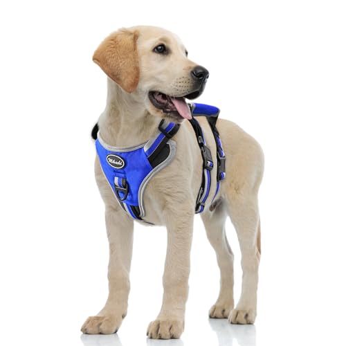 Image of Mihachi Medium Blue Dog Harness - Escape Proof, No Pull, Reflective, Adjustable, Modern Style with Handle and D-Ring for Walking, Hiking, Training and Running