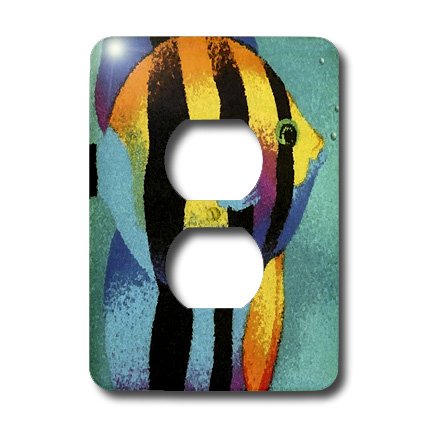 Cache prise 3dRose Fish Tale 15,2 cm multicolore pour double boitier mural - 3