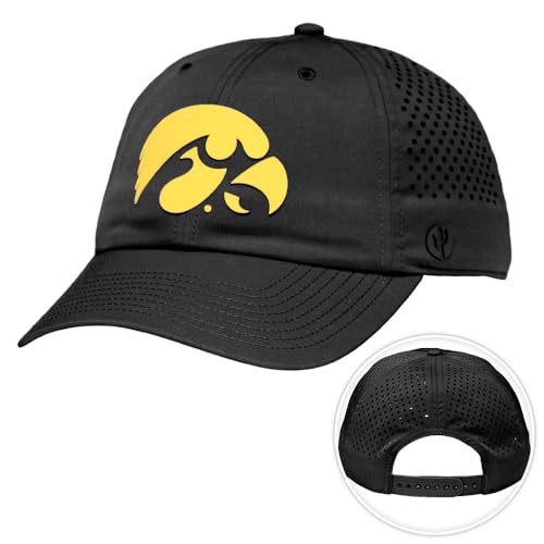 Gorra Snapback Desert Cactus Iowa miniatura 1