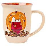 Silver Buffalo Peanuts Leaves are Falling Wide Rim Ceramic Mug, 16 Ounces, Tan/Multi