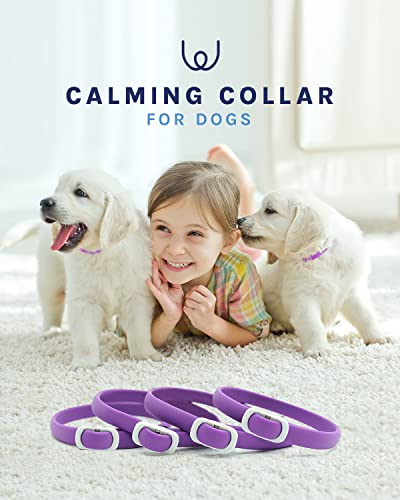 Merrymilo Calming Collar For Dogs 4 Packs,Pheromone Dog Calming Collar,Separation Anxiety Relief For Dogs, Dog Calming Collar With 60 Days Long-Lasting Effect For All Dog Types #TOP3