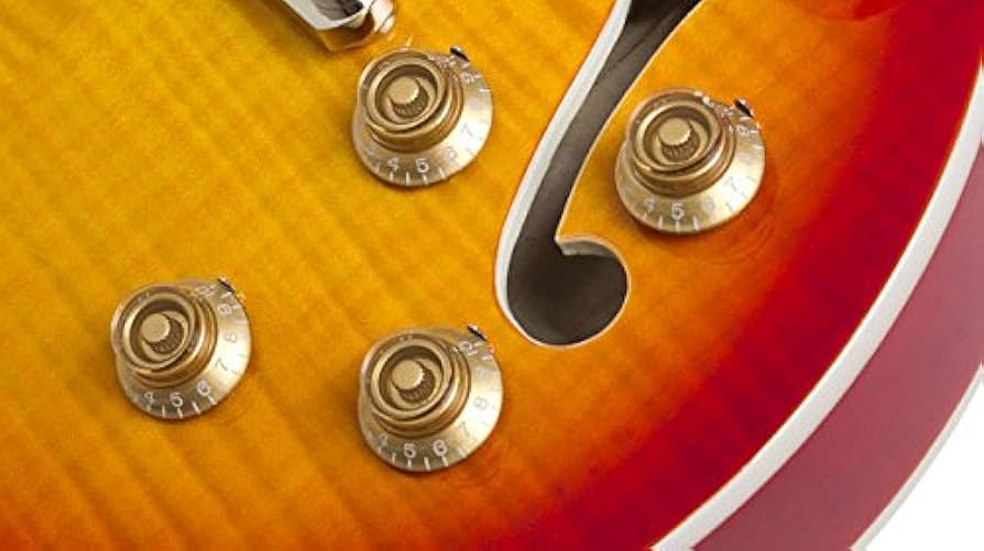 Epiphone ES LES PAUL エピフォン セミアコ レスポール 510gJ7PAzEL._UF350,350_QL50_.jpg