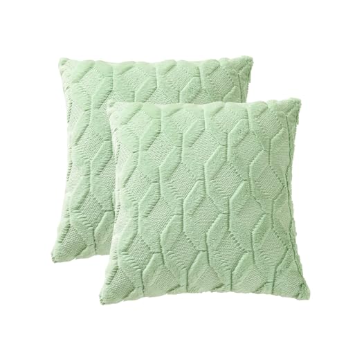 Volcanics Pack of 2 Faux Wool Throw Pillow Covers 20x20 Inches Decorative Farmhouse Velvet Couch Pillow Case Soft Plush Square Boho Cushion Pillowcase, Sage Green