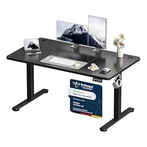 Devoko Elektrisch Höhenverstellbarer Schreibtisch 120 x 60cm, Stabiler Schreibtisch Höhenverstellbar Tisch, Steh-Sitz Bürotisch, Computertisch mit Memory-Funktion, Stehpult, Standing Desk, Schwarz