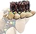 NiuNiuBoy Crew 2 PCS African Tribal Style Nuts Handbell Seed Rattle Bracelet Anklet Natural Percussion Accessories Musical Instrument1