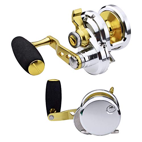 Top 9 Jigging Reels of 2021 Best Reviews Guide