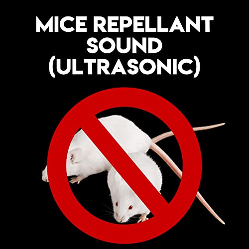 The Best Ultrasonic Mice Repellant Top 11 Picks By An Expert