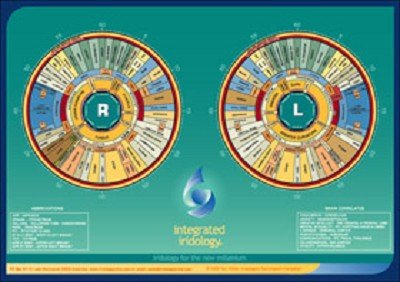 Integrated Iridology Desk Folding Chart Iris Chart - | 9780977564941 ...