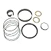 RAParts 245-0584 Ripper Lift Hydraulic Cylinder Seal Kit Fits Caterpillar D8K Bulldozer
